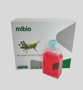 LLC-MK2恒河猴腎細胞主圖