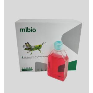 雞前脂肪細胞主圖