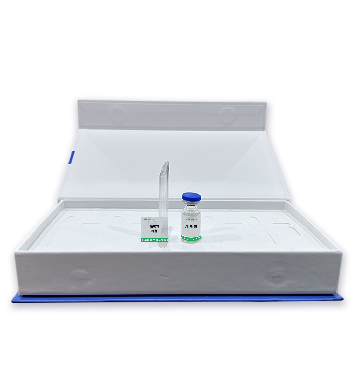 植物乳桿菌主圖