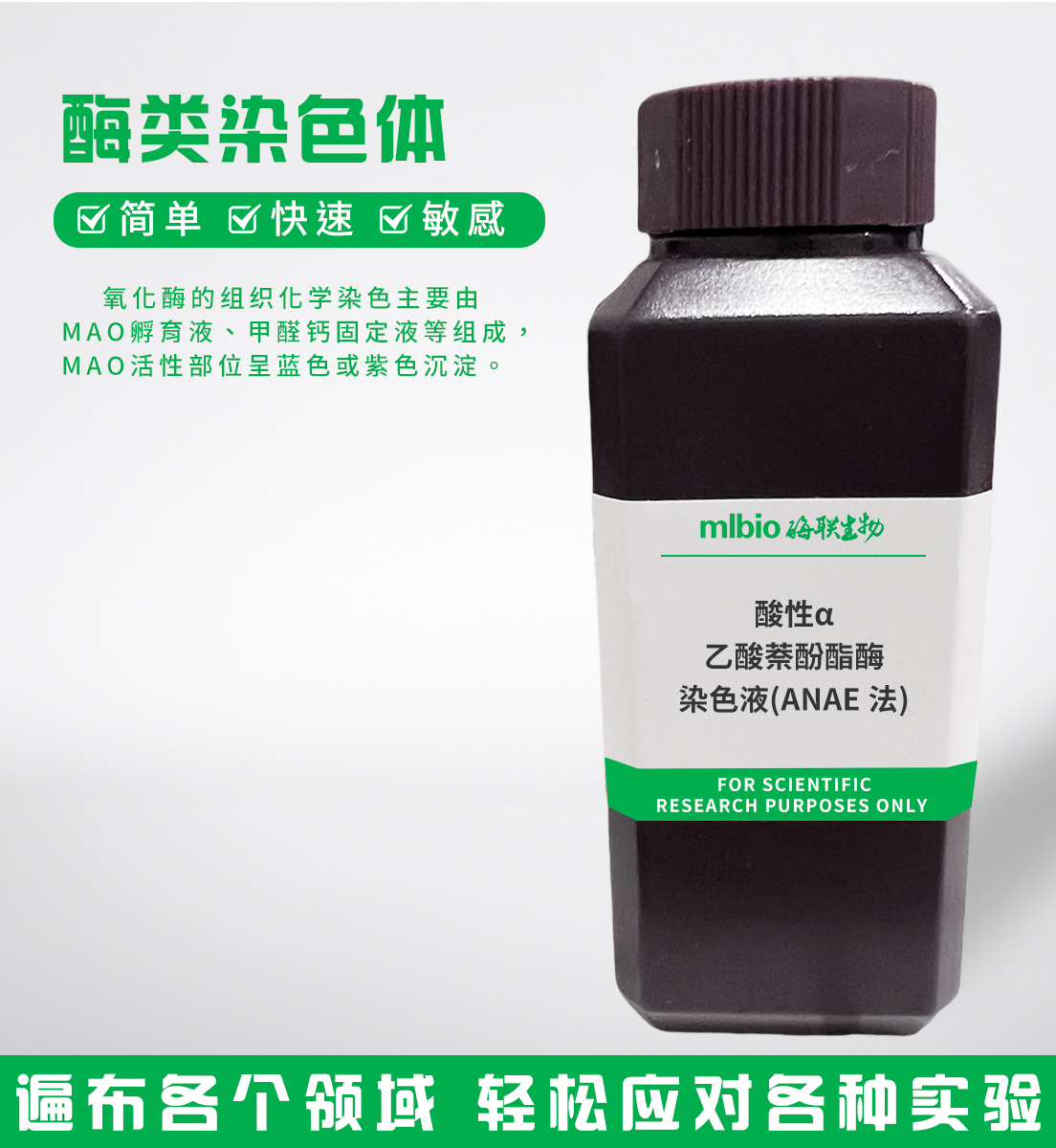 酸性&alpha;-乙酸萘酚酯酶染色液(ANAE法)主圖
