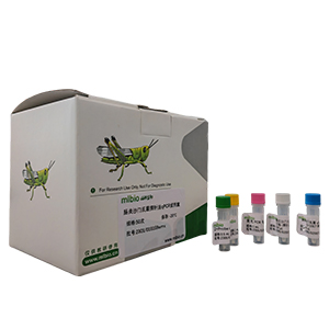 貓隱孢子蟲探針法qPCR試劑盒(不含內(nèi)參)主圖