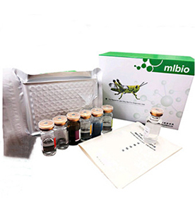 小鼠羥脯氨酸(Hyp)試劑盒 主圖