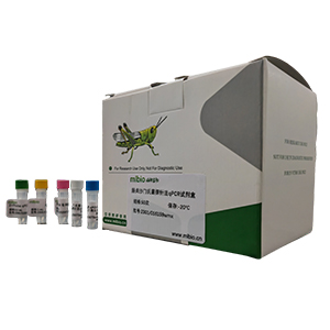黃頭病毒探針法qRT-PCR試劑盒(不含內參)主圖