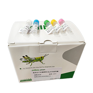 GMO外源uidA基因探針?lè)╭PCR試劑盒(不含內(nèi)參)主圖