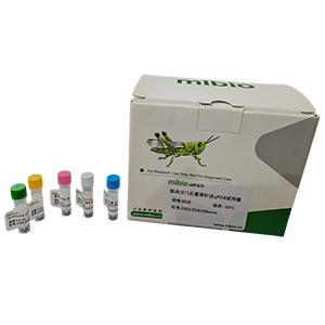 潰瘍棒桿菌探針法qPCR試劑盒(不含內參)主圖