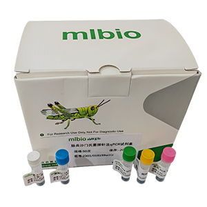 博爾納病病毒探針法qRT-PCR試劑盒(不含內參)主圖