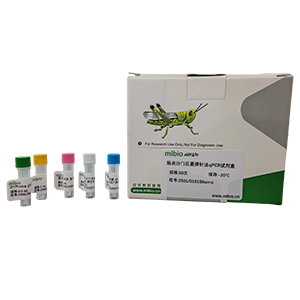 菊歐文氏菌香石竹致病變種探針法qPCR試劑盒(不含內參)主圖